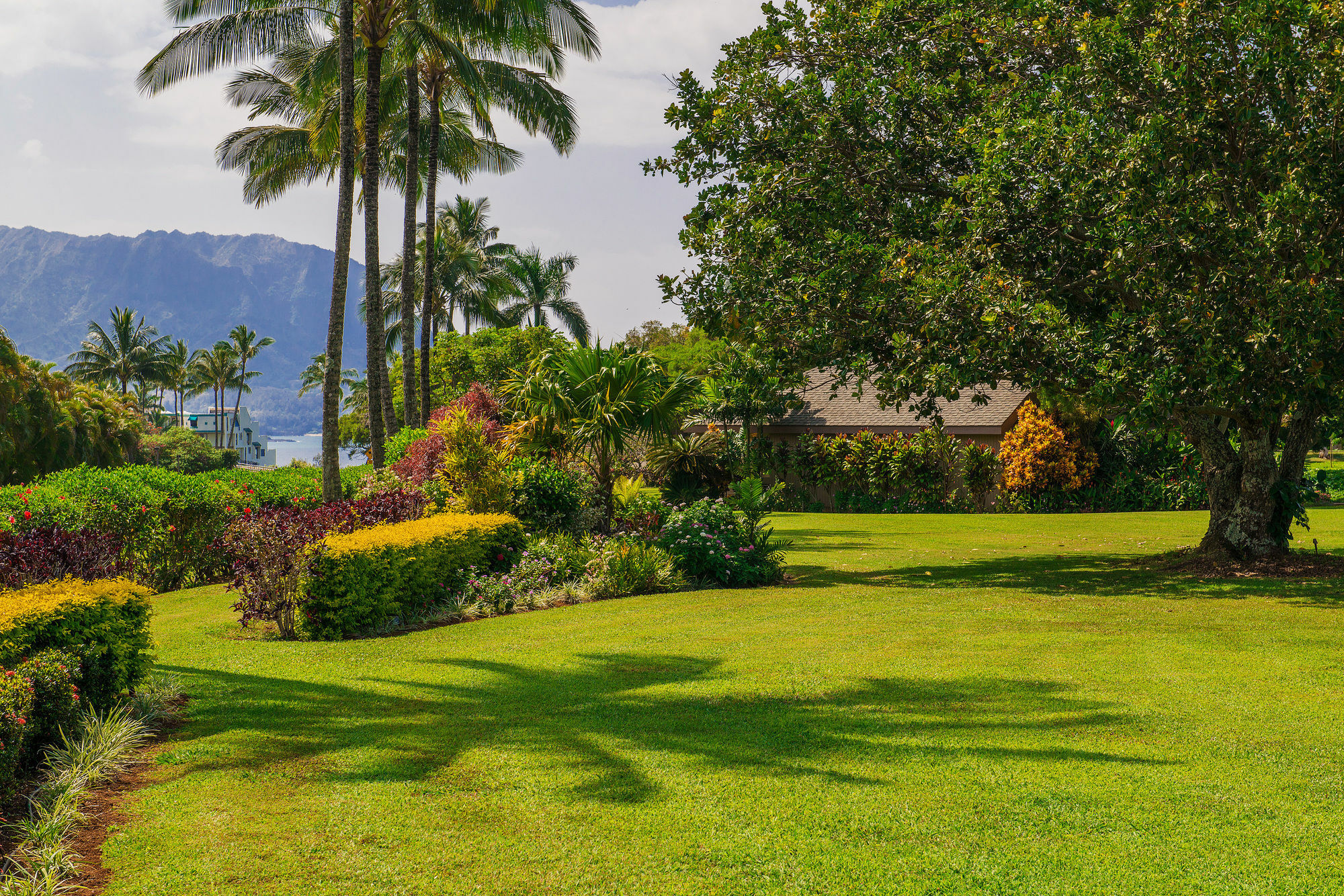 Princeville Oceanfront Villas Kauai Exterior foto